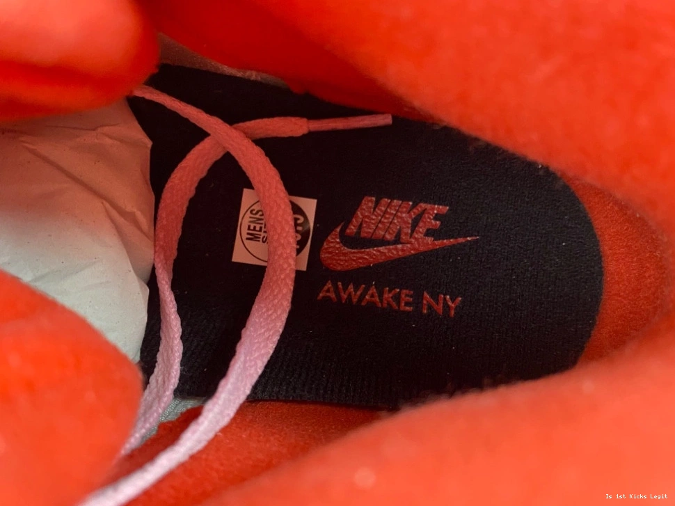 Awake DV4982-600 NY  Retro Pink 5 Arctic Jordan 0411